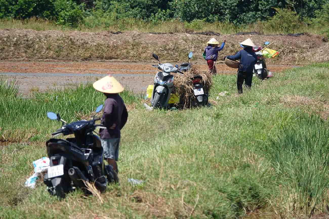 Farmers in Can Loc commune, Ha Tinh province struggle to dry themselves in the hot sun to sow rice. Photo: Tran Tuan