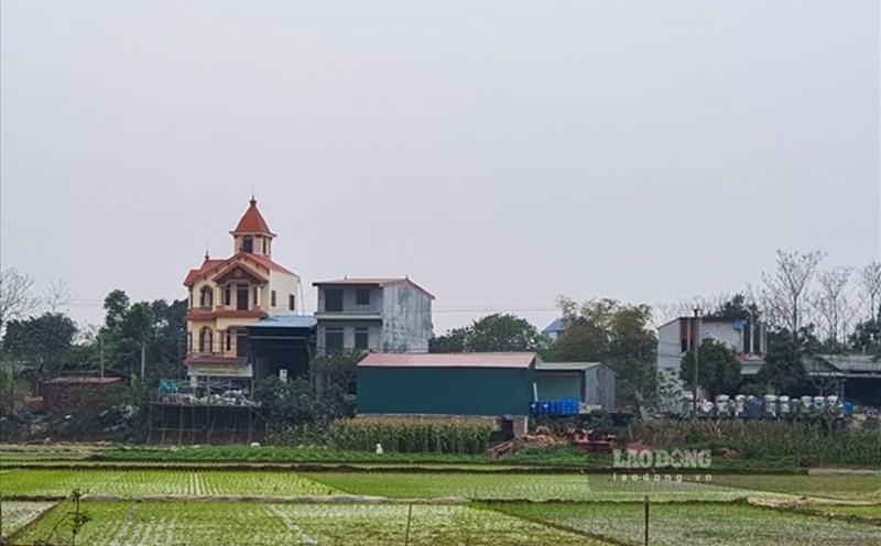 Many people want to convert agricultural land to residential land. Photo: Phan Anh