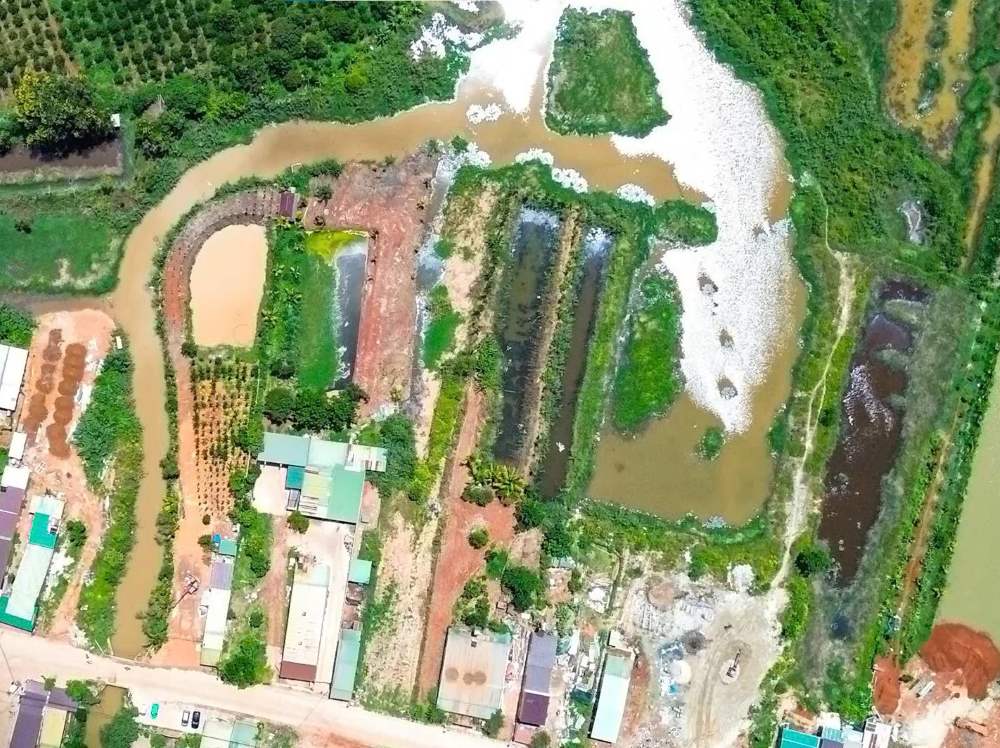 Illegal pig gathering point in residential area causes pollution in Lam Dong
