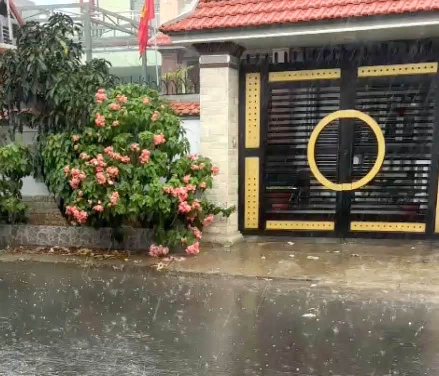 Mưa đá xuất hiện ở phường Trảng Bom, TP Đồng Nai chiều ngày 25.5. Ảnh: Võ Văn Vẹn