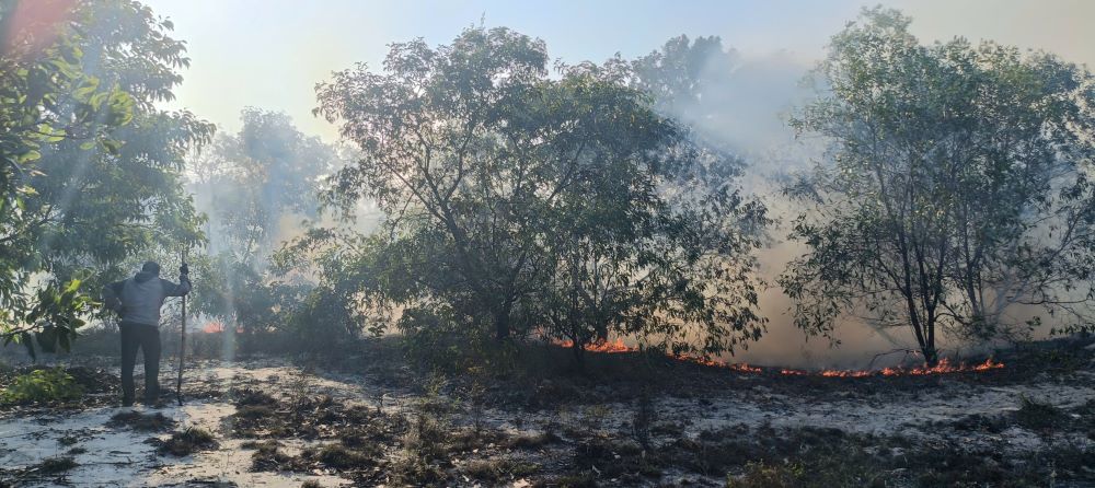 The forest fire took place in hot weather, strong foehn winds made firefighting difficult. Photo: Thanh Trung