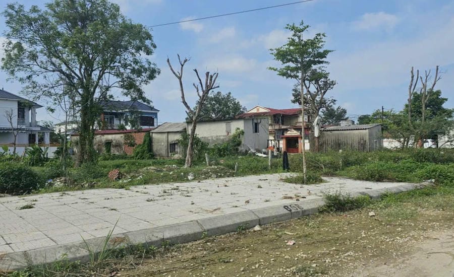 Land plot of Dong Cua residential area (in Dong Tien ward, Thanh Hoa province), where households won land auctions but have not been granted red books. Photo: Quach Du