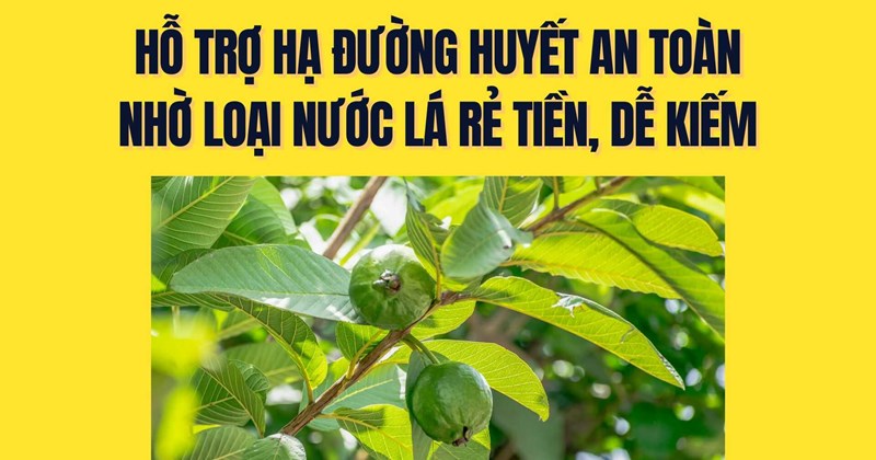 Hỗ trợ giảm đường huyết an toàn nhờ nước lá rẻ tiền, lành tính