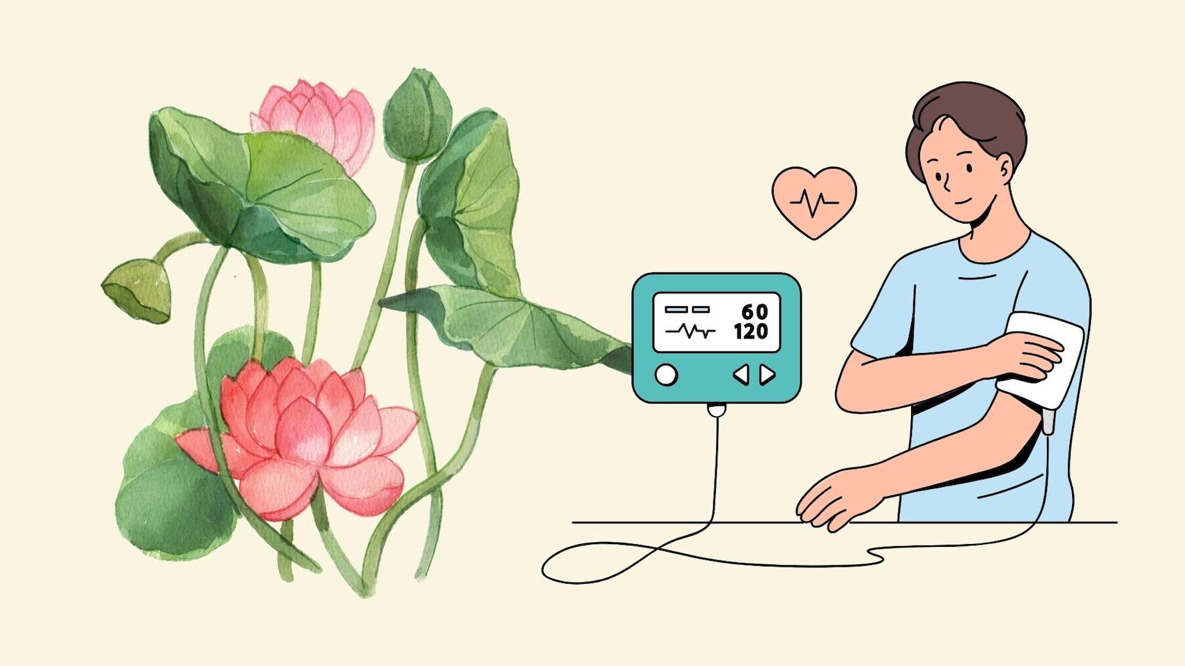 Familiar leaf that helps lower blood pressure, many people ignore it. Graphics: Linh Dan