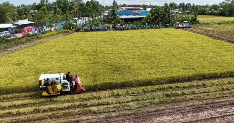 Ministry of Agriculture and Environment answers about support when recovering agricultural land