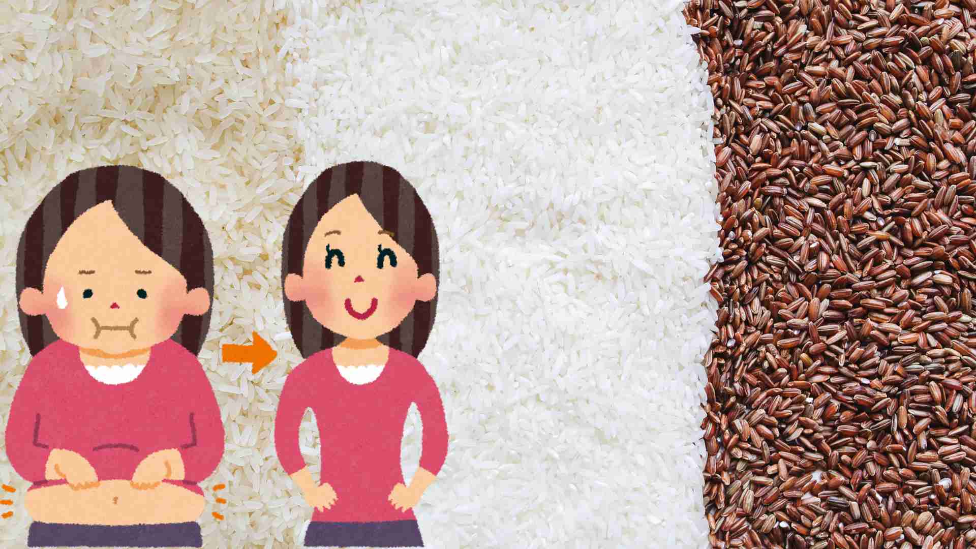 Excessive carbohydrate reduction causes bad skin, hair loss, and endocrine disorders. Graphics: Ha May