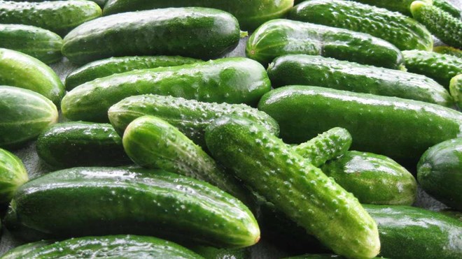 El pepino ayuda a los riñones a desintoxicarse eficazmente. Foto: Tra My