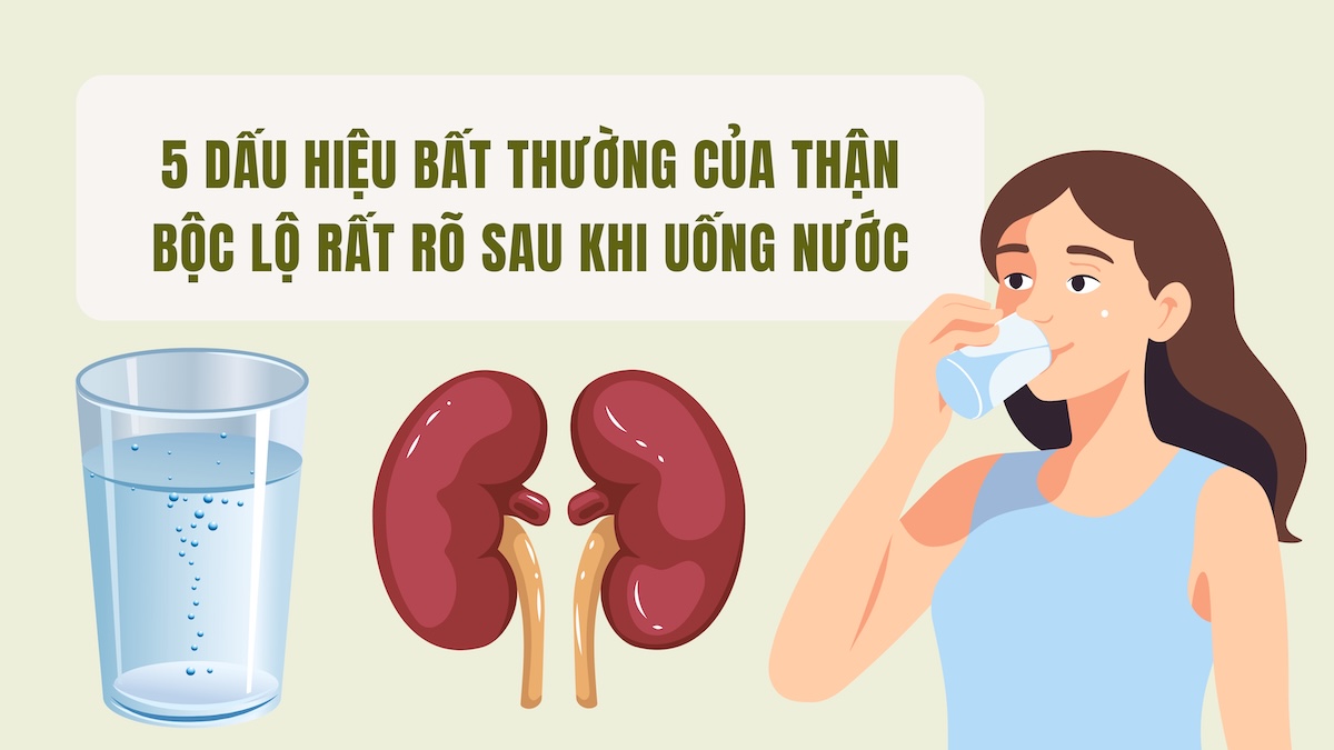 5 abnormal signs of kidneys that are very clearly revealed after drinking water