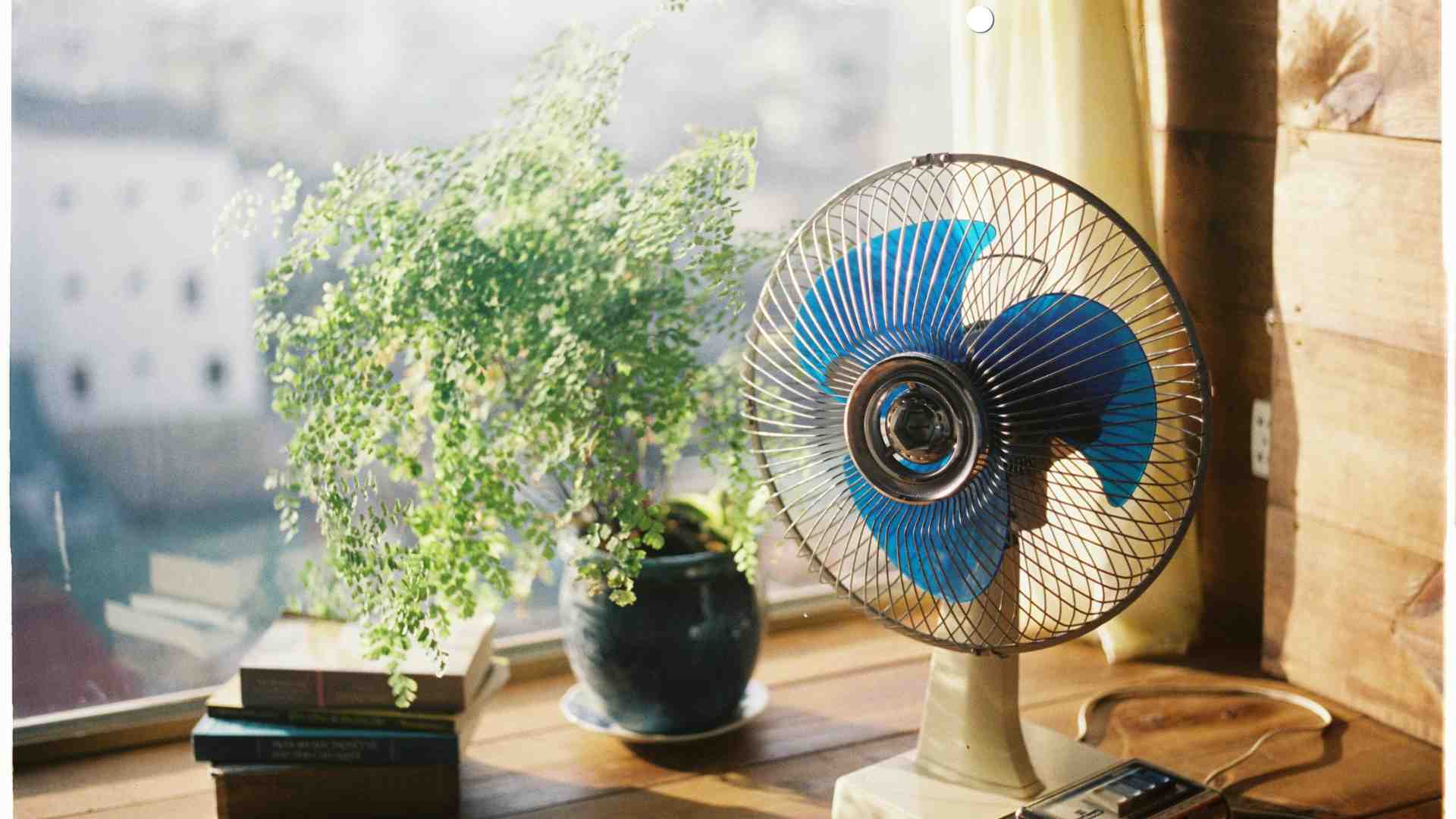 Un ventilateur placé près d'une fenêtre aide à repousser le flux d'air chaud accumulé dans la pièce vers l'extérieur. Photo graphique: Hương Sơn