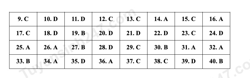 Đáp án tham khảo đề thi Tiếng Anh lớp 10 tỉnh Bắc Ninh, mã đề thi 0104 do đội ngũ Tuyensinh247 thực hiện.