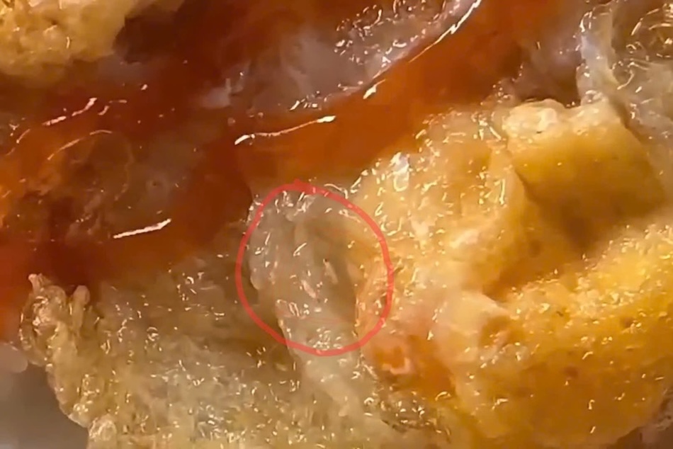 After inspecting the sticky rice bread establishment with maggots wriggling inside, Con Tien Commune People's Committee discovered some violations and requested temporary suspension of operations. Photo cut from video provided by people