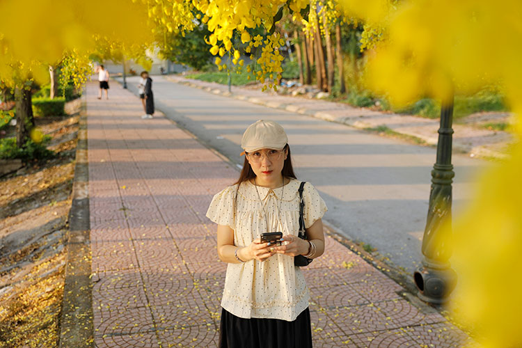 Touristes enregistrant des fleurs de muồng hoàng yến poétiques à Điện Biên. Photo: Quang Đạt