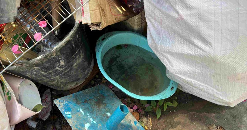 Sốt xuất huyết: Lo ngại bao trùm các nhà trọ ở Cần Thơ