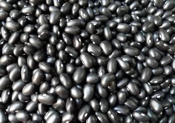 When processed properly, black beans will effectively help lower blood sugar. Photo: Kieu Vu