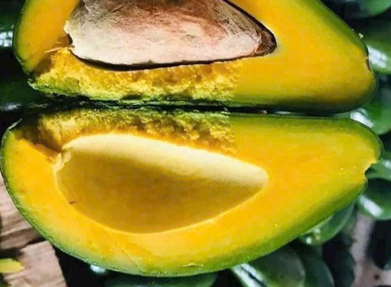 Avocado is a fruit that is said to support liver nourishment. Photo: Kieu Vu