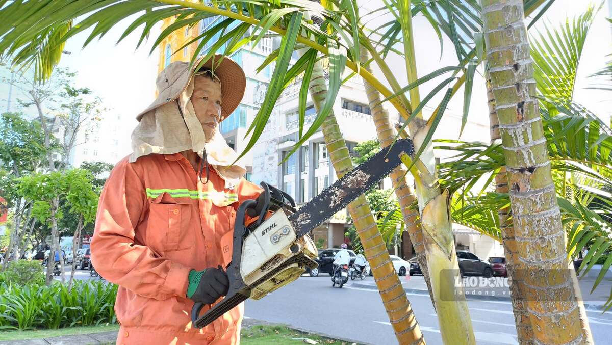 Công nhân Công ty Công viên cây xanh Hải Phòng làm việc miệt mài dưới nắng nóng. Ảnh: Mai Dung