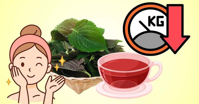 Uống nước tía tô giảm cân, giải nhiệt mùa hè