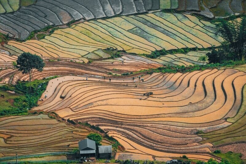 Y Ty terraced fields in the flood season sparkling beautifully like a painting are an extremely ideal hot escape point. Photo: Nguyen Khanh Vu Khoa