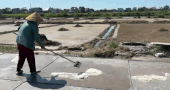 Salt farmers struggle on the salt field under the harsh heat. Photo: Quach Du