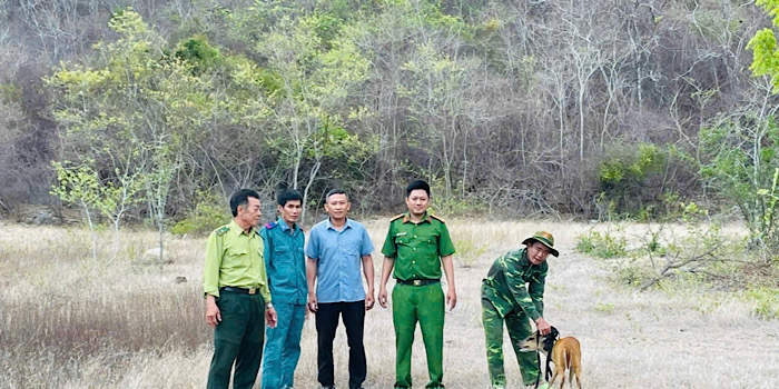 Functional forces release them into the natural forest. Photo: Cong Tam