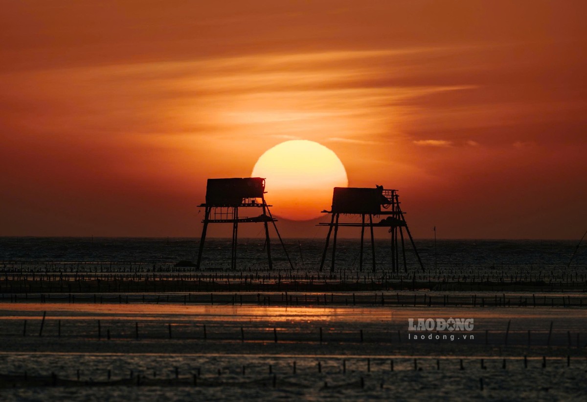 Sunrise dyes the sea of Dong Chau in Dong Chau commune, Hung Yen province yellow. Photo: Trong Cung