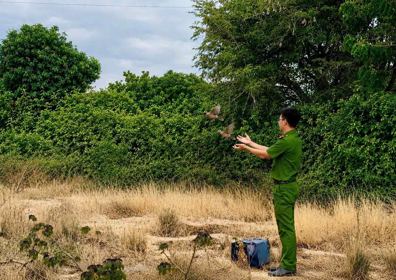 Vinh Hai Commune Police have seized a set of "invisible" nets used to trap wild birds. Photo: Police provided