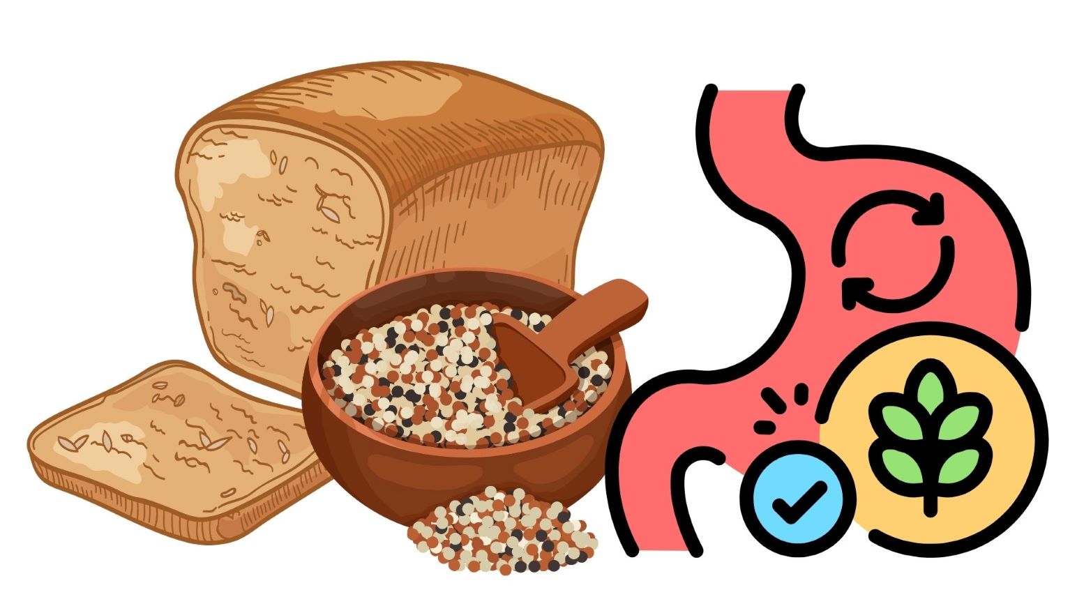 Supplementing fiber in breakfast brings many health benefits. Graphics: Thanh Thanh