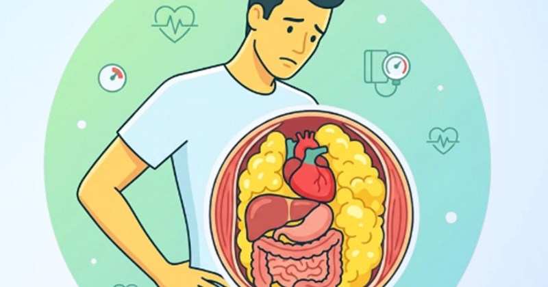 Người gầy vẫn đối mặt bệnh nguy hiểm do mỡ nội tạng