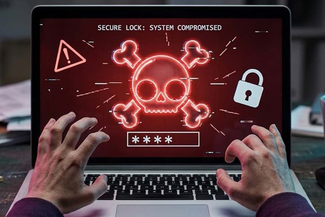 Google coordinates to disable botnet specializing in spreading malware via open source. Graphics: Cat Tien