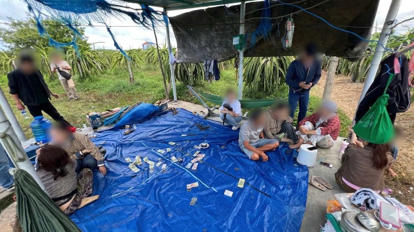 Công an Lâm Đồng triệt phá sới bạc trong vườn thanh long, bắt giữ nhiều đối tượng. Ảnh: Công an cung cấp 