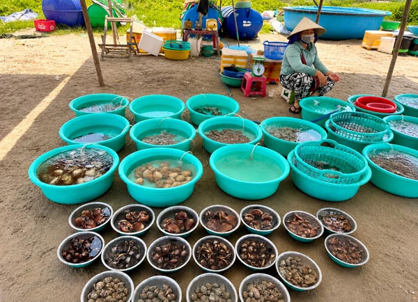 Những thau cá đủ màu sắc được người dân bày bán ở làng chài.  Ảnh: Quỳnh Hoa