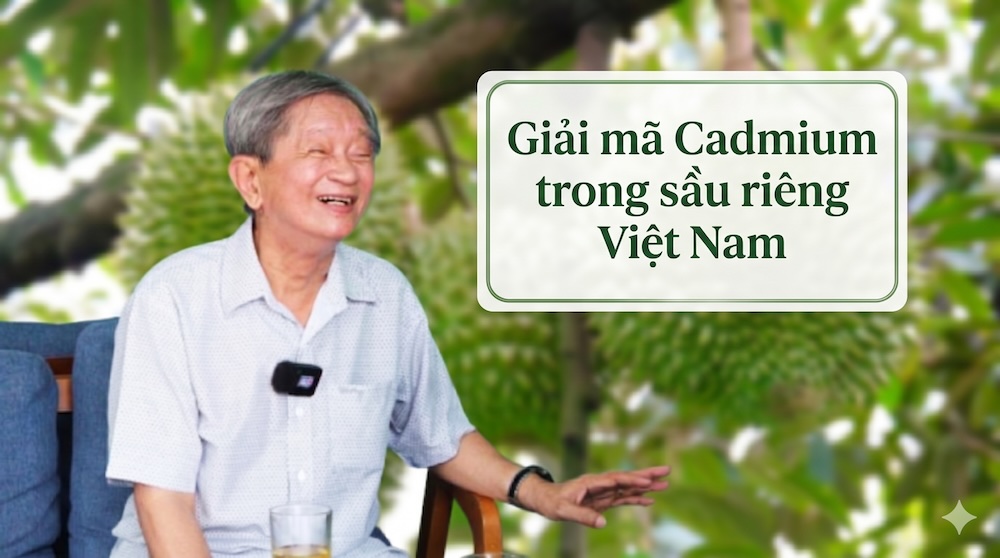 Experts decipher Cadmium in Vietnamese durian