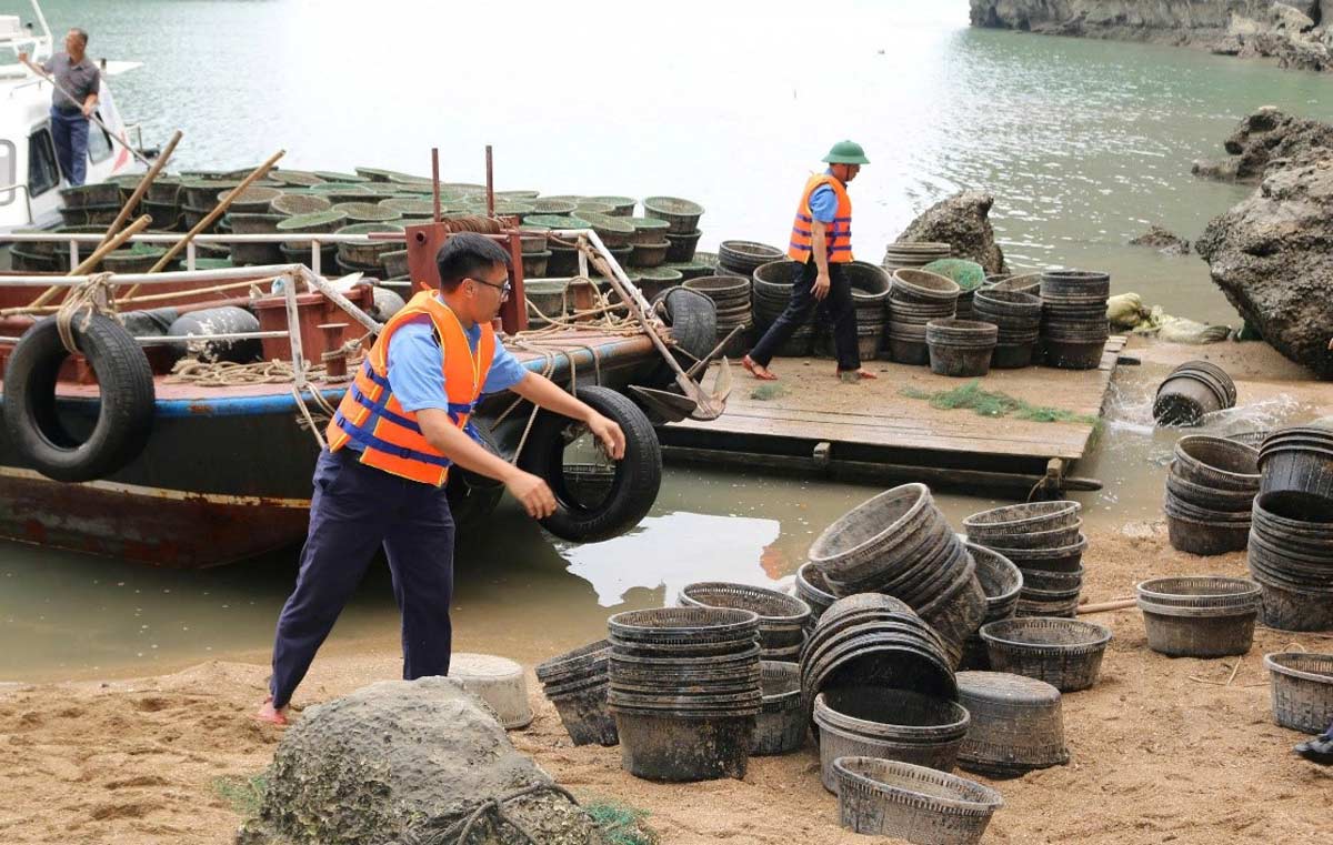 Collecting cages after illegal aquaculture in Ha Long Bay. Photo: Huong Quynh