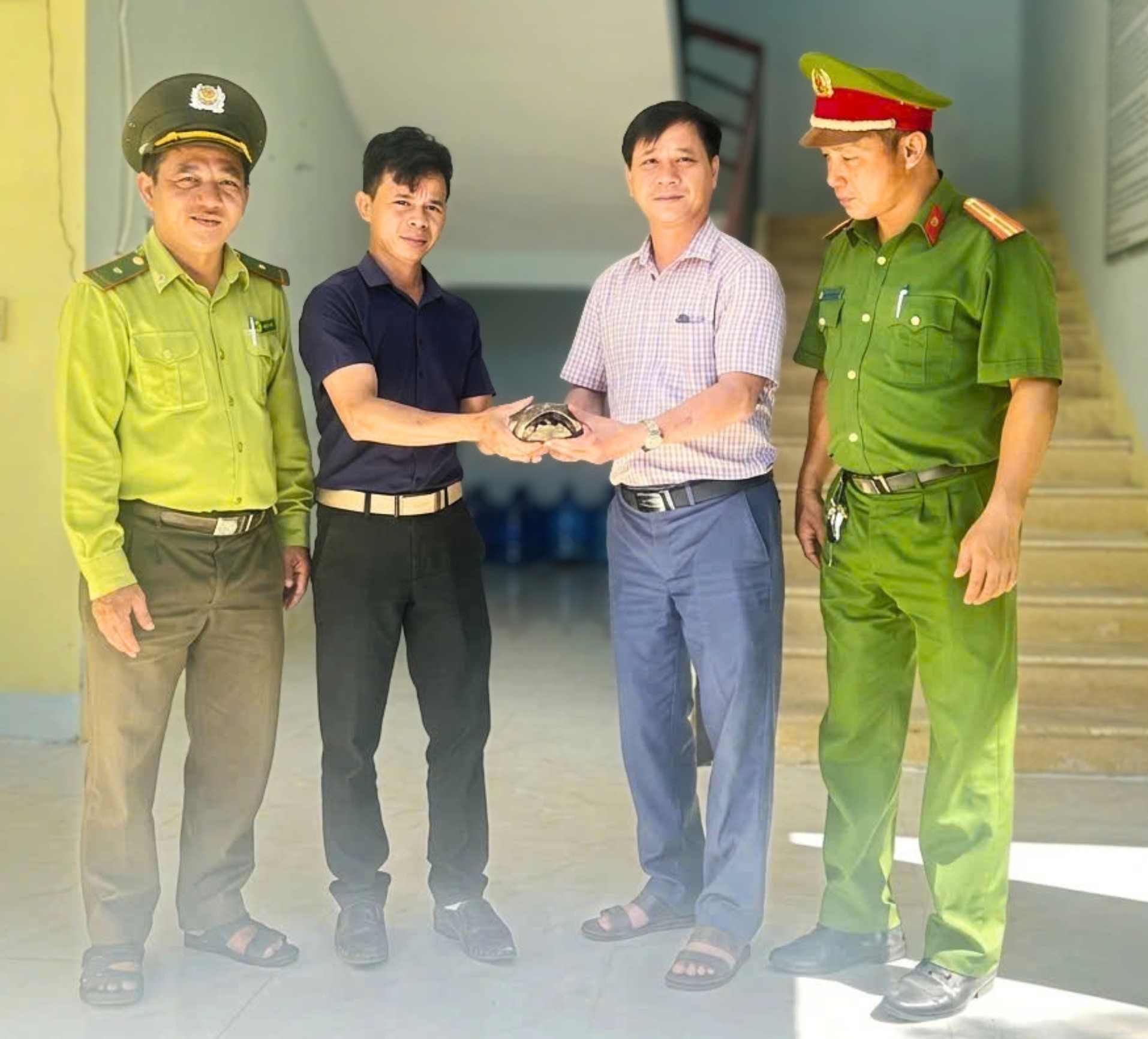 Mr. Pham Van At (second from the left) handed over a rare sand turtle individual. Photo: Quang Ngai Police