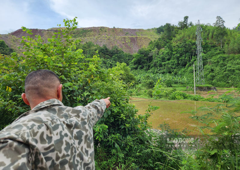 More than 63,000m2 of rice land in Cao Bang will be allocated to mineral businesses. Photo: Tan Van