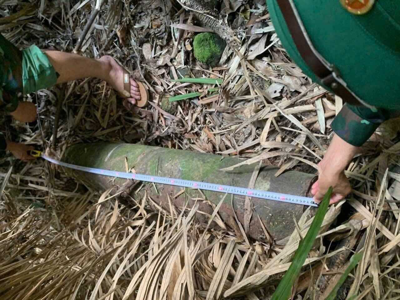 The 227kg bomb was discovered by people while making rattan. Photo: Truong Son Commune Military Command