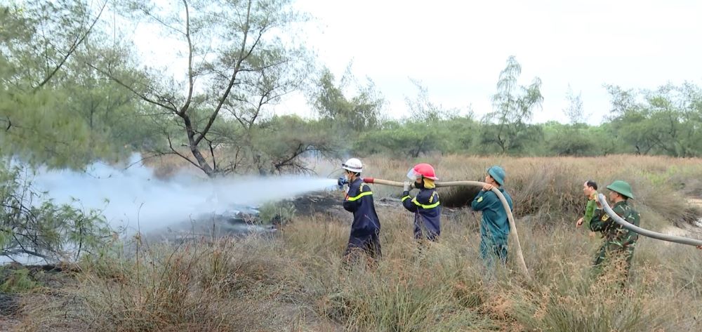 Functional forces are making efforts to extinguish the coastal forest fire. Photo: Thanh Trung