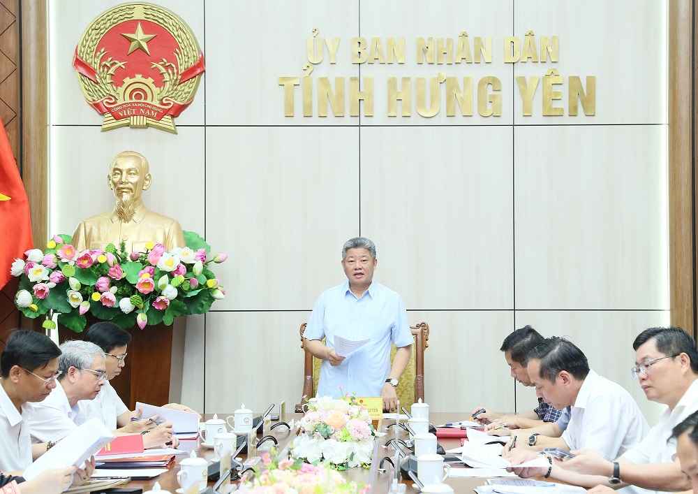 Chairman of the Provincial People's Committee Nguyen Manh Quyen delivered a directive speech at the conference. Photo: Tat Dat