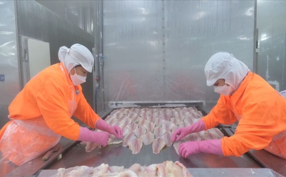 ĐBSCL là vùng có tiềm năng lớn nhưng thiếu sức hút đầu tư. Ảnh: Phong Linh.