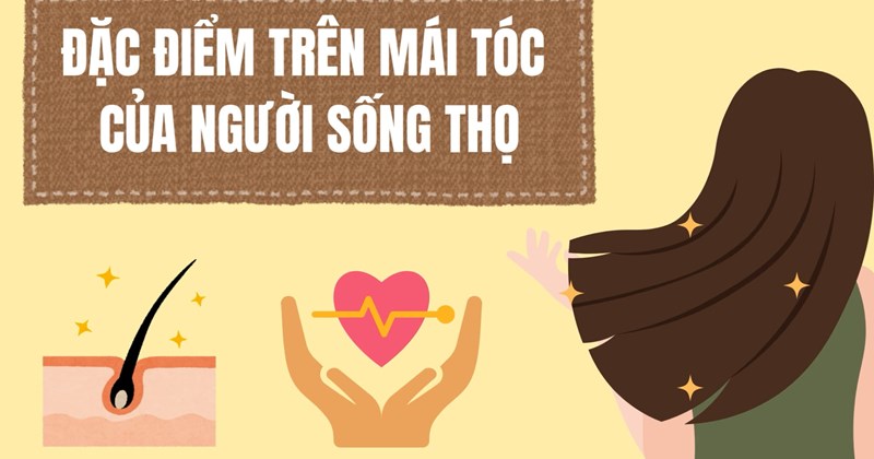 Đặc điểm tóc tiết lộ điều gì về tuổi thọ?