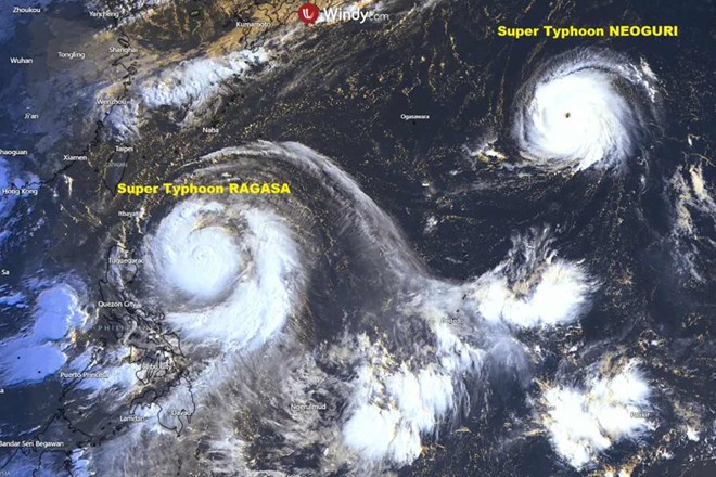 Super typhoon Ragasa and super typhoon Neoguri are operating together on September 21, 2025. Photo: Windy. com