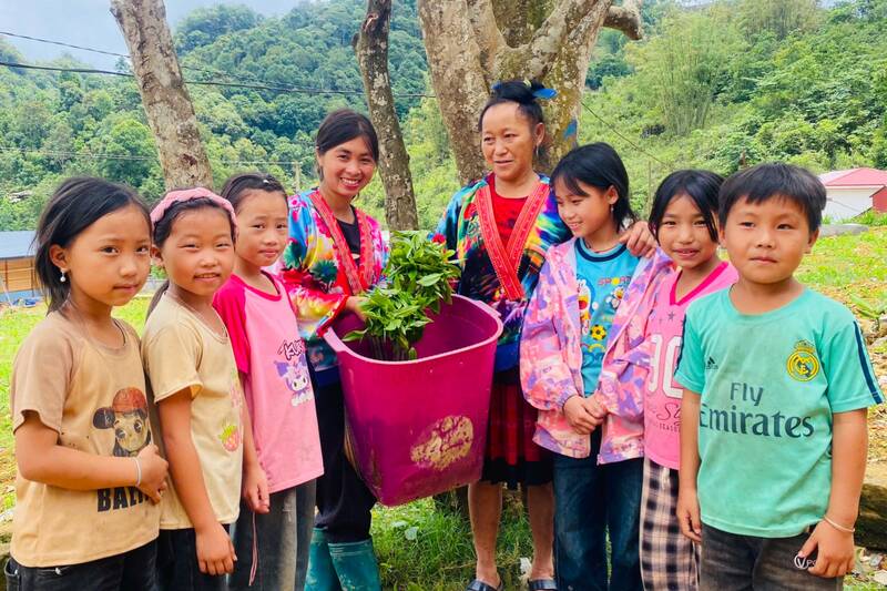 Chè Shan tuyết dần trở thành sản phẩm du lịch độc đáo của xã Sín Chải. Ảnh: Trường Sơn