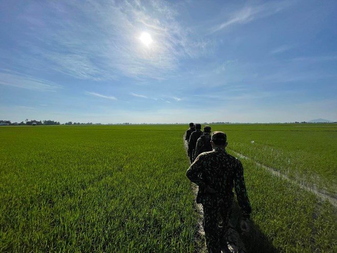 The Ministry of National Defense proposes to change the method of calculating monthly salaries to calculate allowances for officers retiring early. Photo: Huong Nha