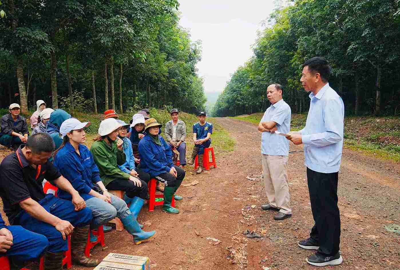 Dakruco leaders visit and encourage workers working at affiliated farms. Photo: Bao Trung