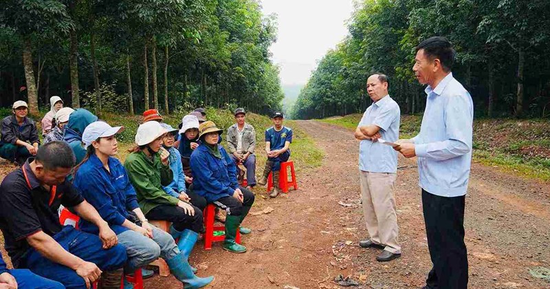 Dakruco tri ân đóng góp thầm lặng của hàng trăm công nhân