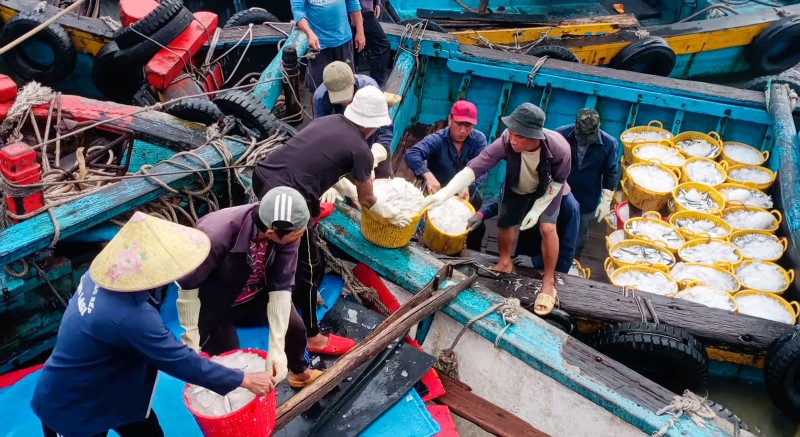 The fishing trade union regularly encourages and supports the spirit of union members, helping fishermen feel secure in working and producing, uniting and supporting each other at sea. Photo: Hoang Bin.