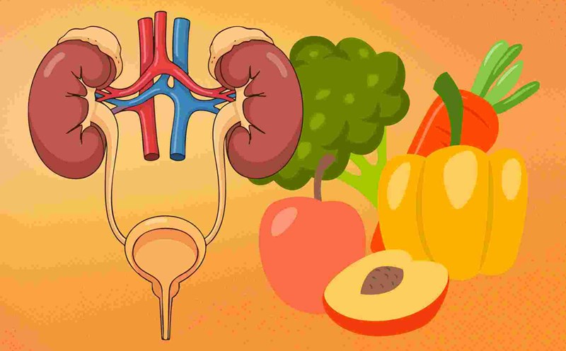 Some familiar kidney-boosting foods should be eaten regularly. Photo: Nhu An