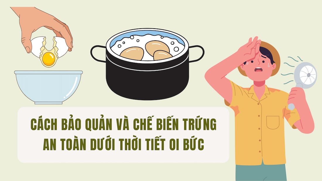 How to safely preserve and process eggs in hot weather