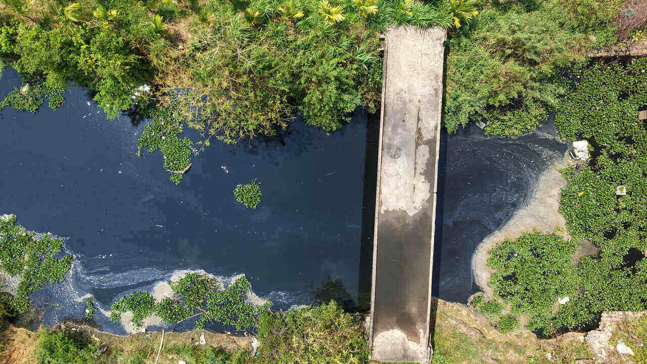The submerged canal flowing through rice fields in Truong Quang Trong ward (Quang Ngai) is pitch black, seriously polluting the environment. Photo: Dong Giang
