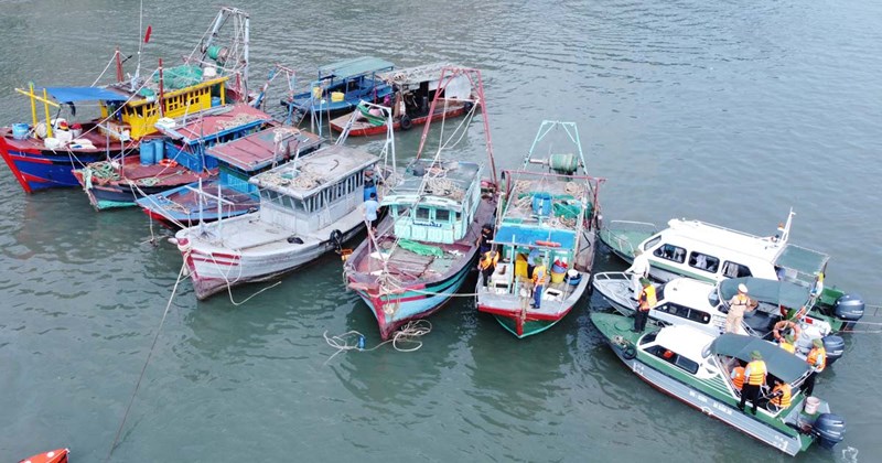 Hạ Long: Xử lý tàu cá neo đậu sai vị trí từ 1/6